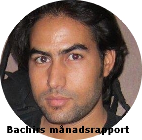 bachirs månadsrapport